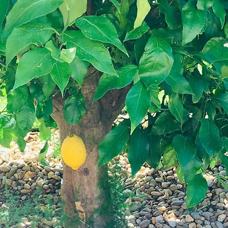 La Mediterranee Wellness Piscine فندق مبيت وإفطار