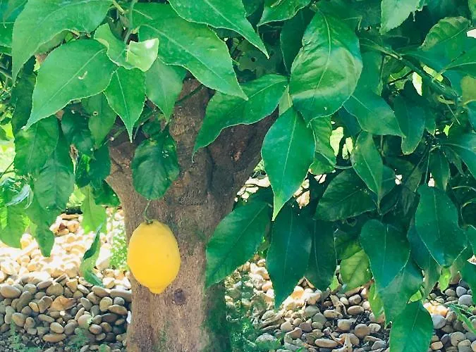 La Mediterranee Wellness Piscine Panzió